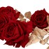 SILK ROSE GOLDIE 5X DARK RED 116CM