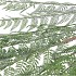 SILK FERN CIBOTIUM GREEN SNOWY 133CM