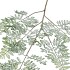 SILK FERN FOREST GREEN SNOWY 106CM