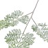 SILK FERN FOREST GREEN SNOWY 86CM NM