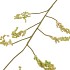 SILK BERRY BRANCH YELLOW 137CM