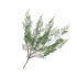 SILK FERN FOREST BRANCH GREEN SNOWY 76CM NM