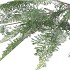 SILK FERN FOREST BRANCH GREEN SNOWY 76CM NM