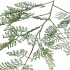 SILK FERN FOREST GREEN SNOWY 137CM NM