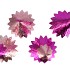 GLAM JOLLY PINK MIX TREE IRON ASS 22X22X40CM