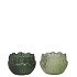 COCO MAJESTIC GREEN CANDLE HOLDER BOWL ASS 9X9X6CM