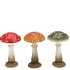 WONDERLAND MUSHROOM SCOTTISCH SPICE AMANITA ASS 11X11X18CM