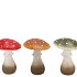 WONDERLAND MUSHROOM SCOTTISCH SPICE AMANITA ASS 14X19CM  NM