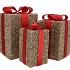 SPARKLE GIFTBOX RED LED S/3 15X25/20X35/25X42CM NM