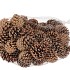 NATURE AUSTRIAN PINECONE NATURAL P/1KG
