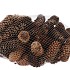 NATURE SPRUCE PINECONE NATURAL P/1KG