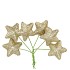 PICK SHINE STAR COZY GOLD 4X7CM P/96
