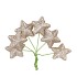 PICK SHINE STAR COZY CHAMPAGNE 4X7CM P/96