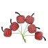 PICK SHINE APPLE JOLLY RED 3X7CM P/72