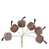 PICK SHINE APPLE SCOTTISH COPPER 3X7CM P/72