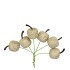 PICK SHINE APPLE COZY GOLD 3X7CM P/72