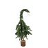 FESTIVE TREE ARTIFICIAL PINE NEEDLE 25X25X60CM NM