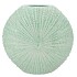 SHELLA GREEN VASE 41X13X39CM