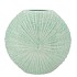 SHELLA GREEN VASE 31X11X30CM