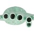 SHELLA GREEN VASE CORAL 18X10X19CM