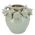 SHELLA LIGHT GREEN VASE SHELL 29X29X24CM