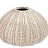 PEARL GREY VASE URCHIN 22X22X14CM NM