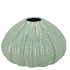 PEARL GREEN VASE URCHIN 16X16X10CM NM