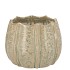 SIFAN GREEN POT STRUCTURE 14X14X11CM