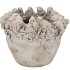 CONCRETE SPARROW GREY NEST 27X27X21CM NM