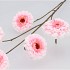 SILK ZINNIA PINK 106CM