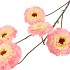 SILK ZINNIA PEACH 106CM