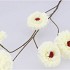 SILK ZINNIA WHITE 106CM