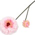 SILK ZINNIA PINK 54CM NM