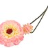 SILK ZINNIA PEACH 54CM NM