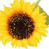 SILK SUNFLOWER YELLOW 45CM