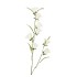 SILK BELLWORT CREAM SINGLE STEM 82CM NM