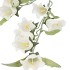 SILK BELLWORT CREAM SINGLE STEM 82CM NM