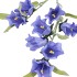 SILK BELLWORT BLUE SINGLE STEM 82CM NM