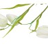 SILK FRITILLARY FLOWER WHITE SINGLE STEM 58CM NM
