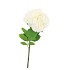 SILK WILD ROSE WHITE SINGLE 65CM NM