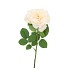 SILK WILD ROSE CREAM SINGLE 65CM NM