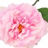 SILK WILD ROSE PINK SINGLE 65CM NM