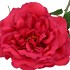 SILK WILD ROSE RED SINGLE 65CM NM