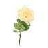 SILK WILD ROSE YELLOW SINGLE 65CM NM