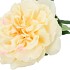 SILK WILD ROSE YELLOW SINGLE 65CM NM