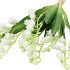 SILK CONVALLARIA WHITE P/4 BOUQUET 37CM