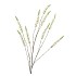 SILK CAMPANULA CREAM SINGLE STEM 146CM