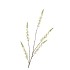 SILK CAMPANULA CREAM SINGLE STEM 104CM NM