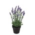 SILK LAVENDER PURPLE IN POT BLACK M 21X21X32CM NM