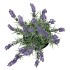 SILK LAVENDER PURPLE IN POT BLACK M 21X21X32CM NM